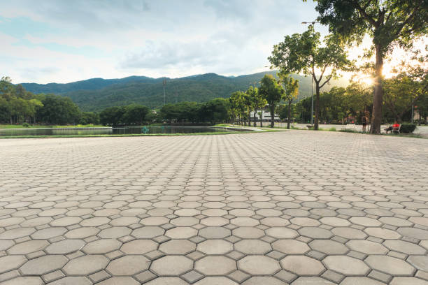 Best Concrete Paver Driveway  in Davidson, NC