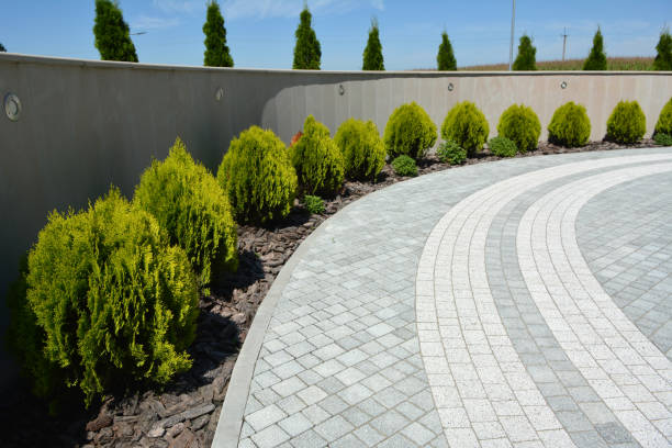 Best Driveway Paving Near Me  in Davidson, NC